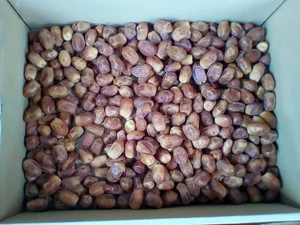 تصویر 4 از خرما زاهدی شیراز مناسب صادرات و پذیرایی